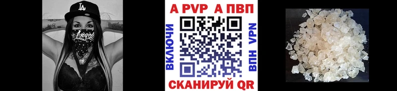 Alfa_PVP СК КРИС  Хасавюрт 