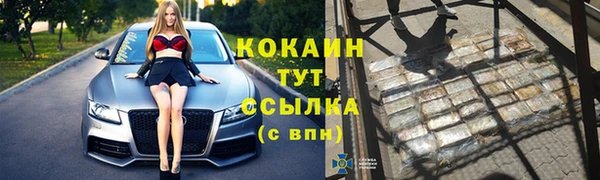PSILOCYBIN Верхний Тагил
