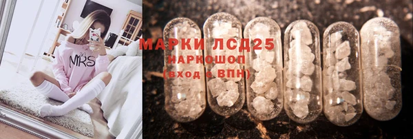 PSILOCYBIN Верхний Тагил