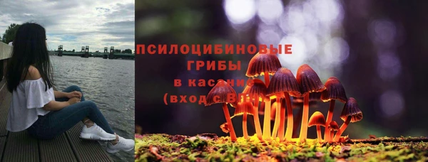PSILOCYBIN Верхний Тагил